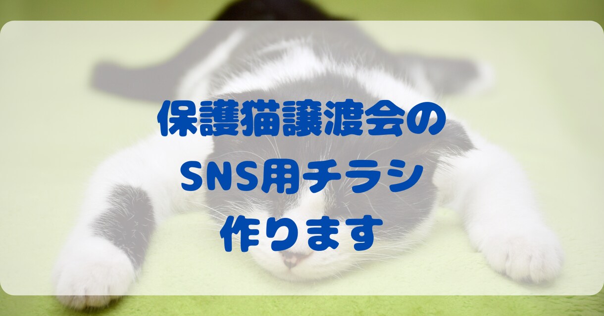 Canva保護猫譲渡会の簡単SNSチラシ作ります 譲渡会チラシで保護猫ちゃんの里親さん見つけませんか? イメージ1