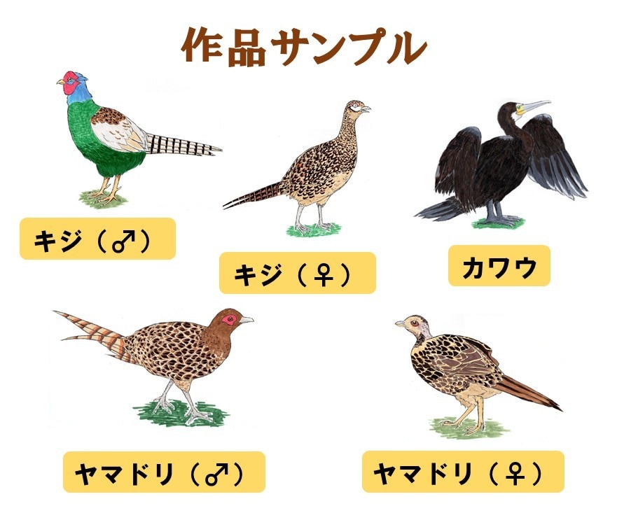 狩猟鳥獣のイラスト描きます ハンターでもある私が狩猟鳥獣の特徴を捉えたイラストを制作！ イメージ7