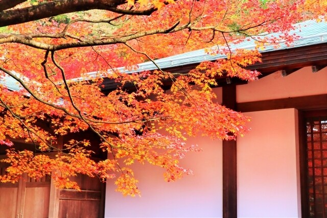 こころがスッと楽になる。貴方の味方が話しを聞きます 仕事、恋愛、育児、話し相手がいる生活始めませんか？ イメージ7