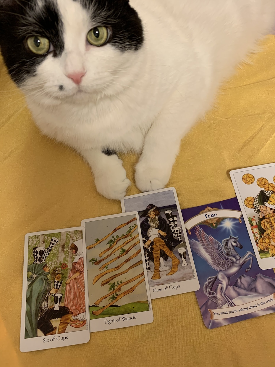 幸せ見つける占い❤️天使のヒーリングサポートします 魂と潜在意識の心の妨げの解消や改善と癒やしで吉運へと向かう イメージ8