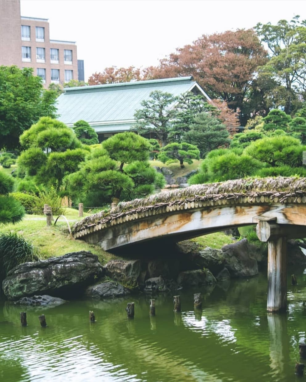 素敵な写真撮ります フランス•パリ出身のカメラマンにおまかせ！ イメージ6