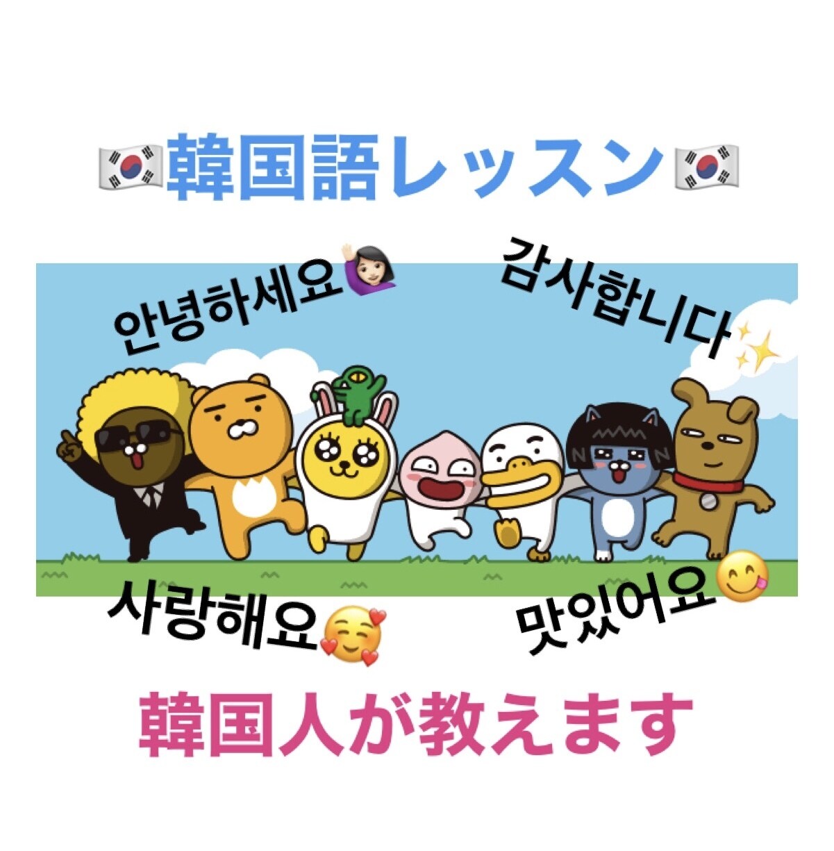 初心者向け韓国語レッスン一から教えます 読む,聞く,書く,話す　初級〜上級　ニーズに合わせてレッスン イメージ1