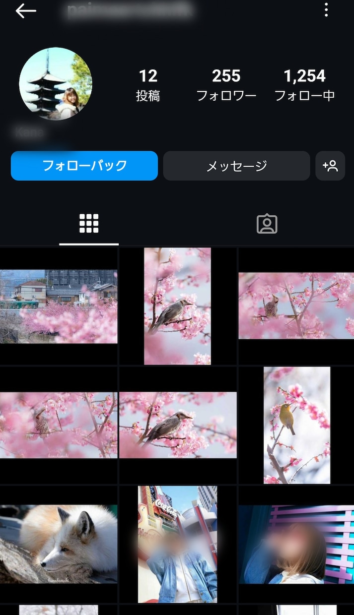 Instagramの日本人フォロワー増加します 日本人フォロワー（いいねのおまけ付）拡散し増加をします イメージ3