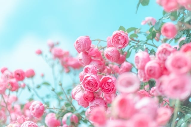5分でもOK♪あなたの気持ち、優しく傾聴します 愚痴でも、何でも。癒し系カウンセラーがお聞きします。 イメージ3