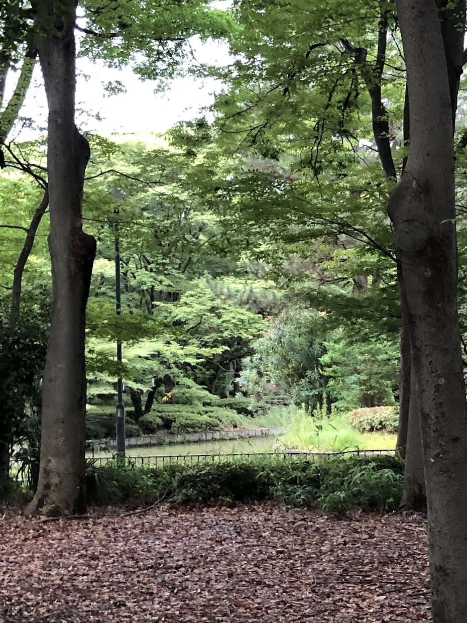 あなた自身、あなたの周り。第三の目にて見通します あなたの気になる真実、相手の気持ち、未来、すべて見通します。 イメージ1