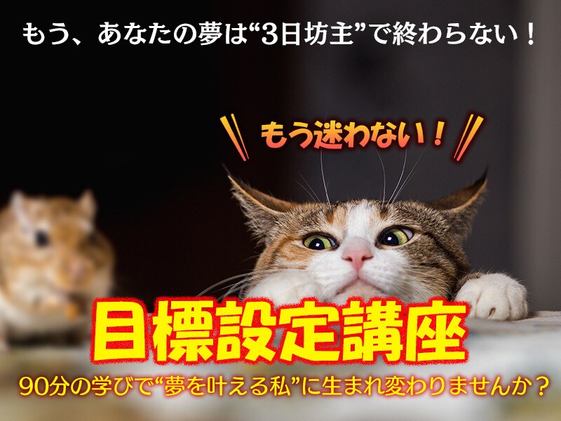 目標設定！理想の自分・夢を叶えるお手伝いをします 24年歴の元英語教師がお届けする超・現実的目標設定術 イメージ1