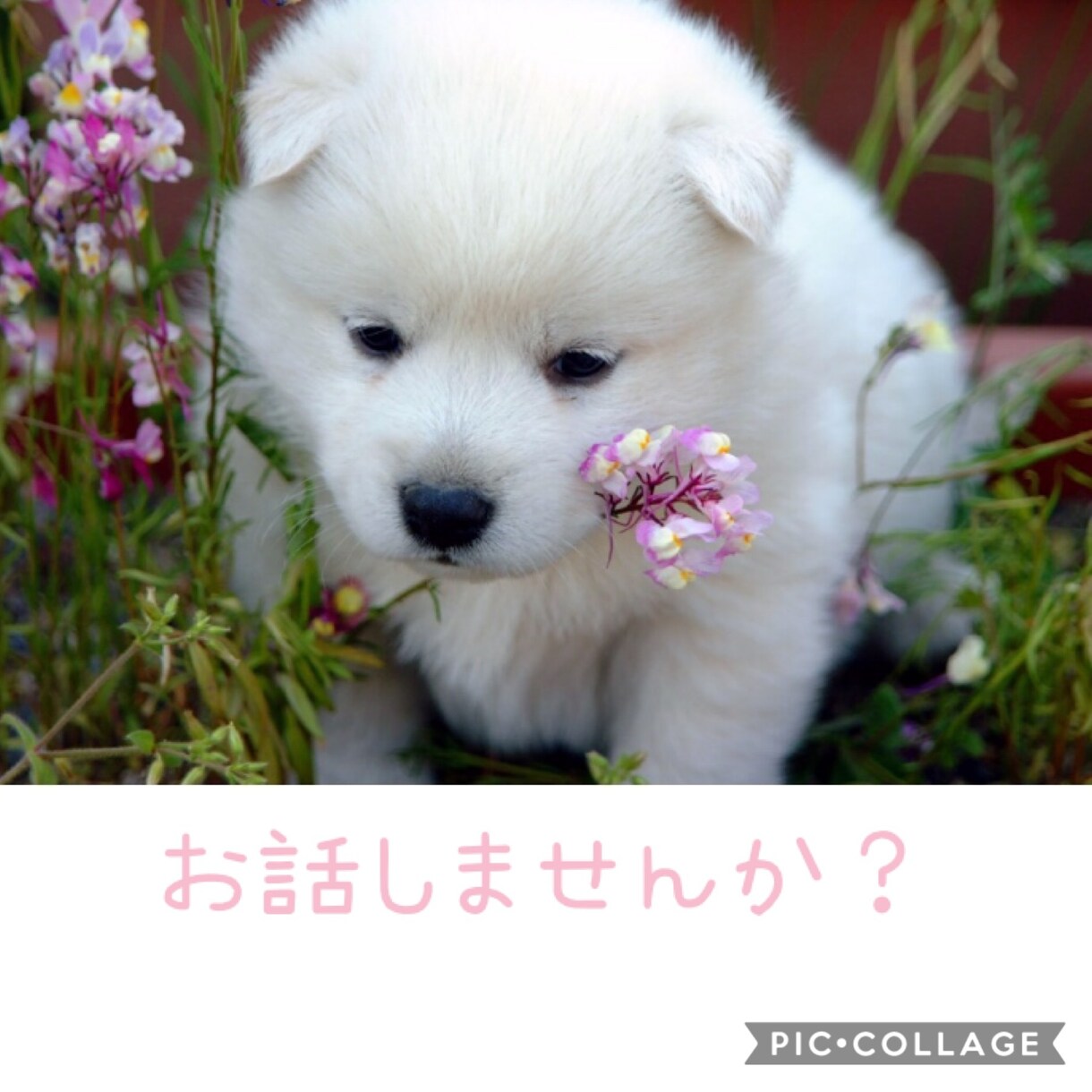 あなたに寄り添います 日常の些細な事、誰かとちょっと話をしたい方、お話しませんか？ イメージ1