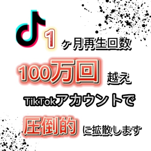 TikTok100万再生アカウントで拡散します 【再生回数100万越え】TikTokアカウントで拡散します！ イメージ1