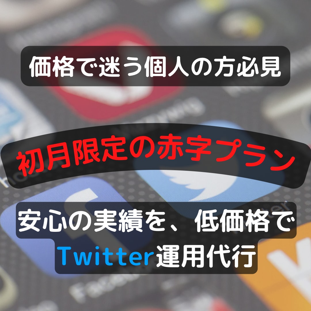 初月だけの赤字プラン！Twitter運用代行します ファンになるフォロワーを獲得します！✨ イメージ1