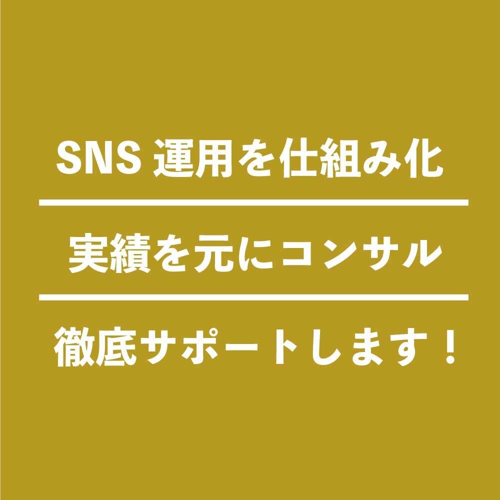1日数分でSNS運用出来る方法をコンサルます Twitter、Instagramを仕組み化しましょう！ イメージ1