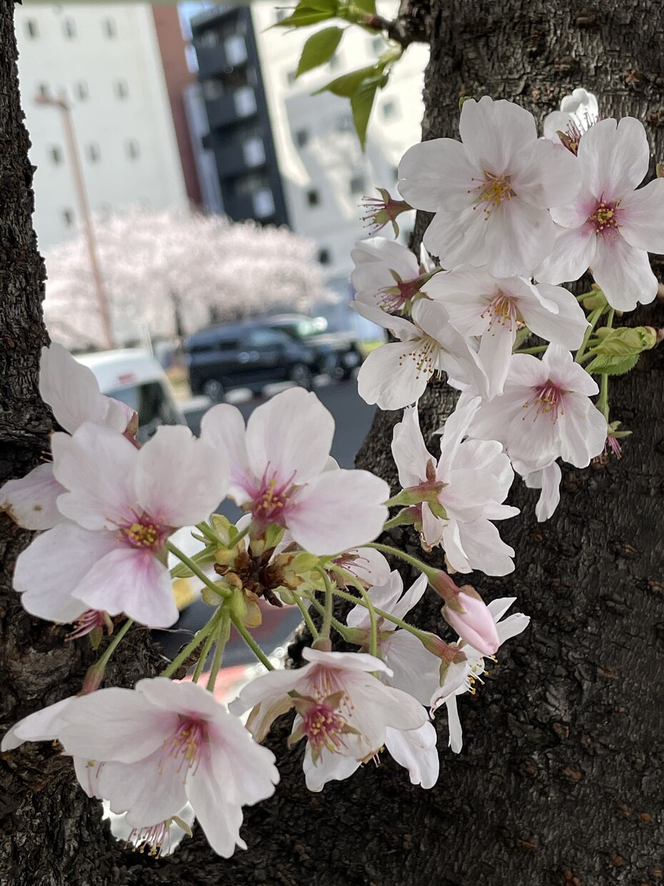 あなたなの身体の心配事についてご相談いただけます 悩める貴方の話しを聞きます。ちょびっとでもおっけー イメージ3