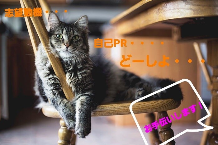 就活中の方！採用担当が相談に乗ります 自分の活かし方、アピール方法一緒に考えましょう✨ イメージ1