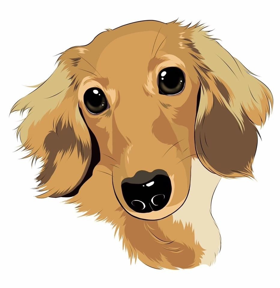 写真を元に犬の似顔絵を描きます グッズ、名刺、待ち受け、印刷してプレゼントなど イメージ9