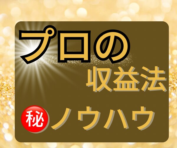 初心者の方でも結果が出せるプロの収益法伝授します 副業初心者からいきなり頂点に登りつめましょう イメージ1