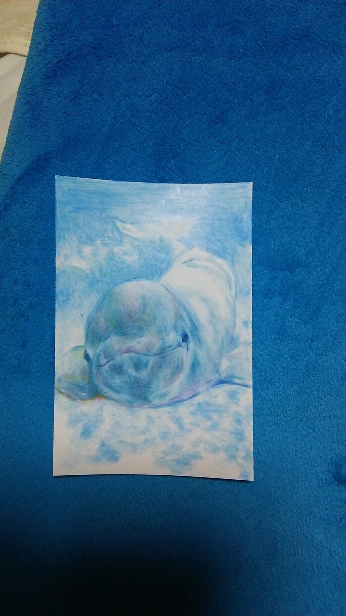 似顔絵、動物似顔絵、その他オーダー受けます お気に入りの写真で可愛く手描きで似顔絵描きます イメージ6