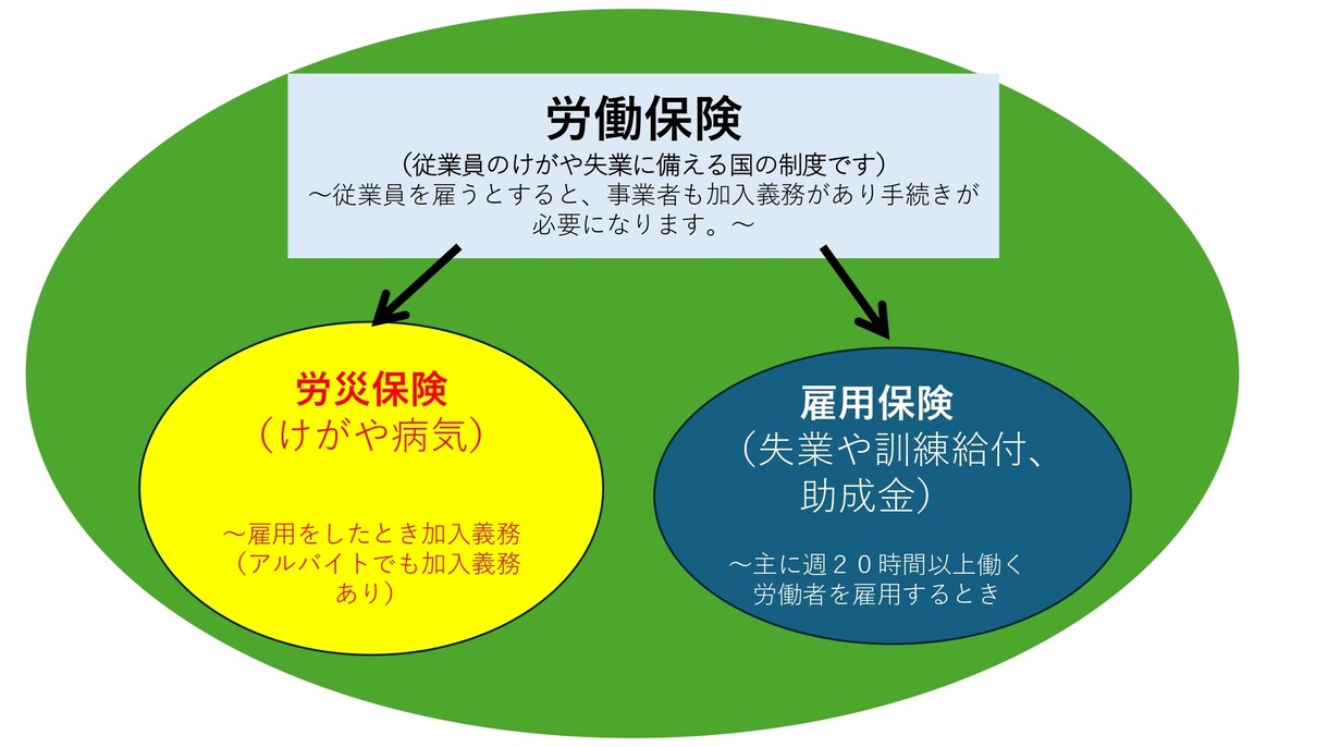 会社設立し人を雇用した時の労働保険の手続き行います 社労士が迅速・相談のしやすさを大事にしています イメージ1