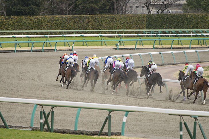 妙味のある穴馬の情報を当日ご提供させて頂きます 今では毎月回収率を150〜200%まで上げています。 イメージ1