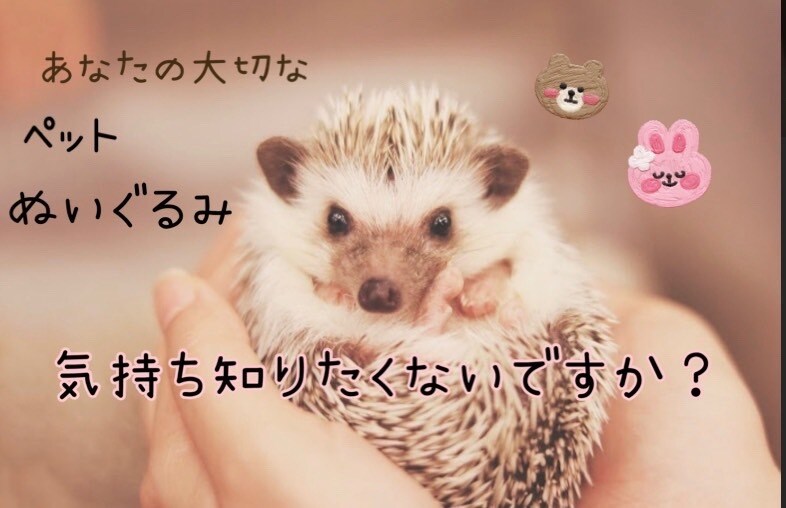 生死問わず ペットやぬいぐるみの気持ちを代弁します 動物や、ぬいぐるみ等の気持ちを代弁します。 イメージ1