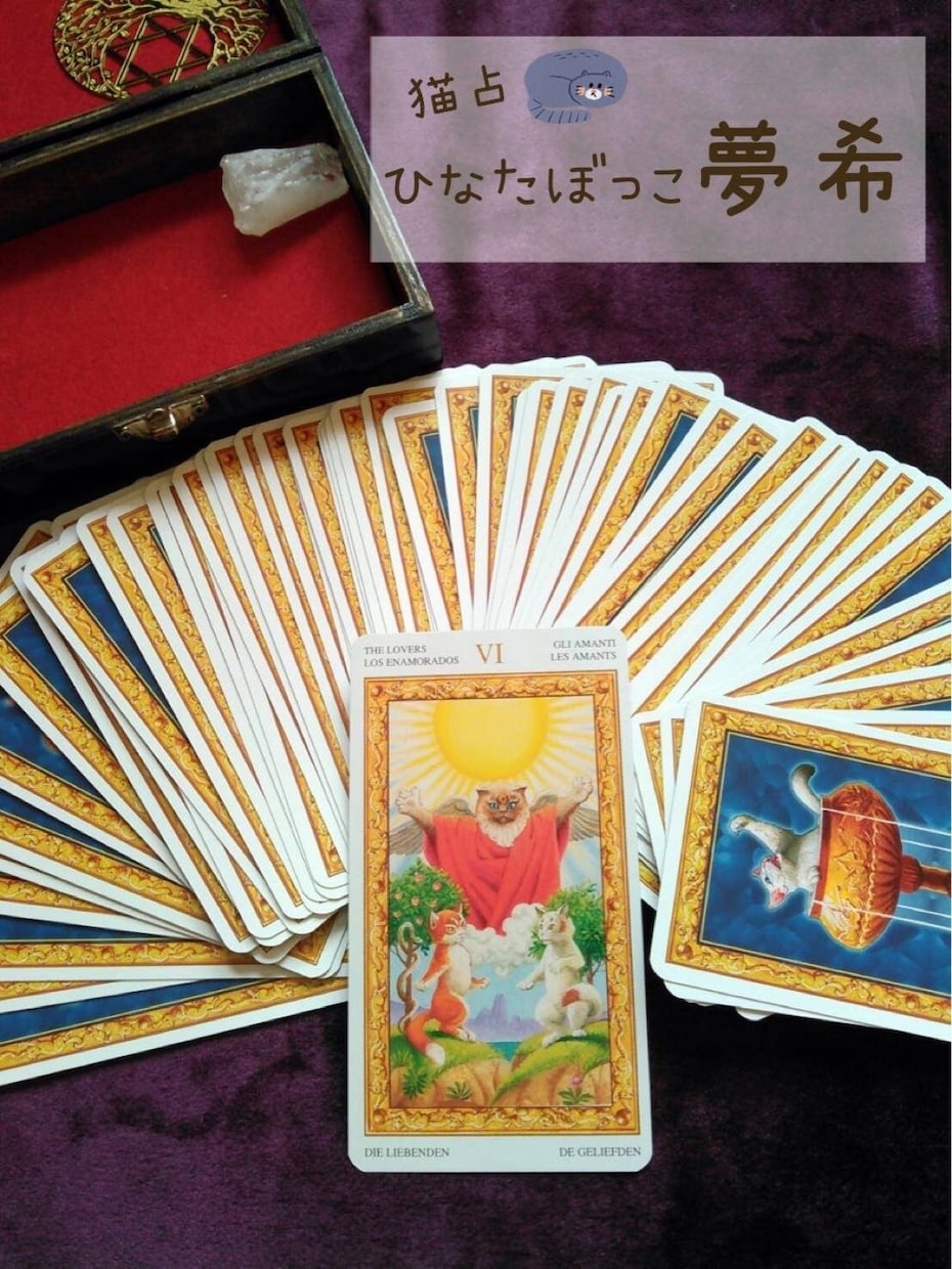 猫タロット・九星気学・宿曜占星術を用いて鑑定します お客様のお悩みの対処法＆攻略法を心に寄り添いお伝えいたします イメージ2