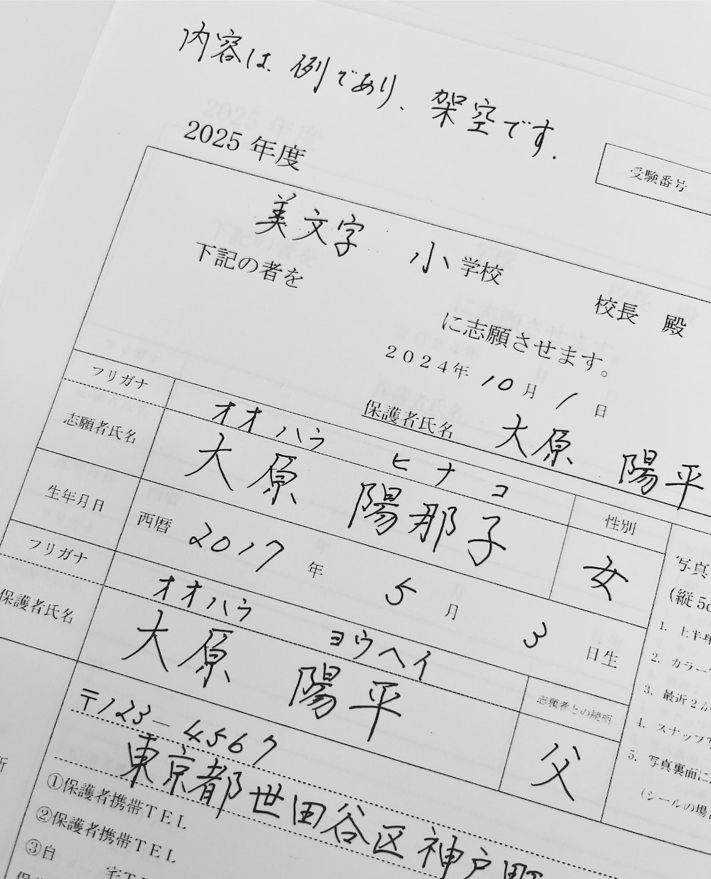 美文字で履歴書、願書見本作成いたします 名門小学校お受験　美しく提出したい願書の手本作成します イメージ2