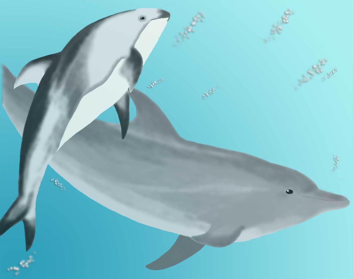 ペットや動物の写真を元にイラストを描きます ★ちょっとマイナーな動物好きな人も是非ご利用ください★ イメージ3