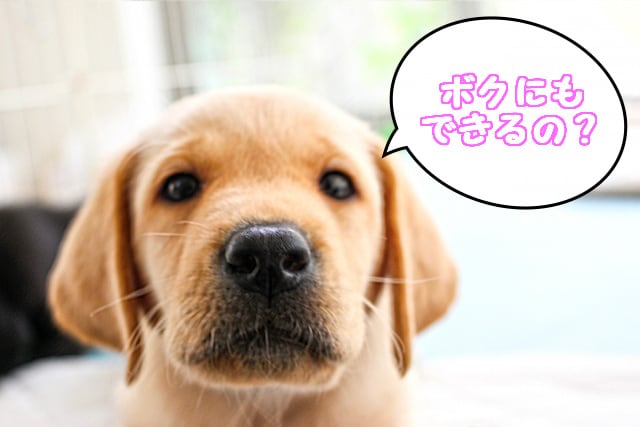 ココナラで初めて出品する方に売れる秘訣を教えます コツを知るには経験者の意見を聞くべし!? イメージ1