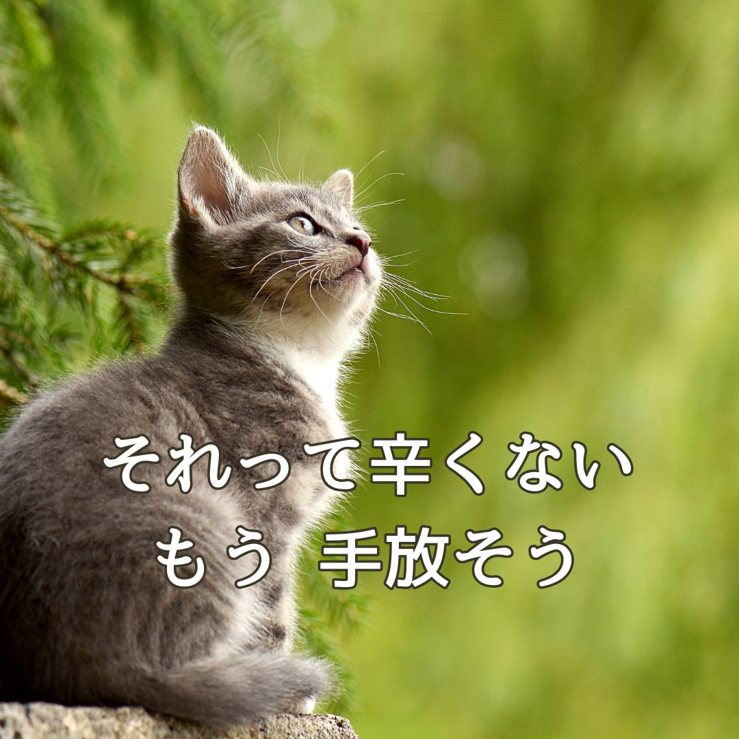 答えが欲しい方⭐手放すもの必要なものを伝えます 具体的な悩みに！迷いを手放し心地よい日常を過ごす道案内 イメージ3