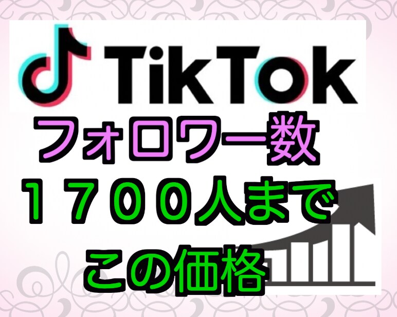 TikTokのフォロワー増やします 即日対応可！各種SNS対応！保証あり！お気軽にどうぞ！ イメージ1