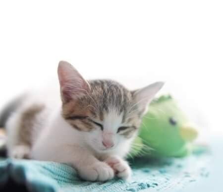 今後の人生を充実！地に足をつけるヒーリングをします やりたいことがあるのに行動できない、そもそもやる気がでない等 イメージ4