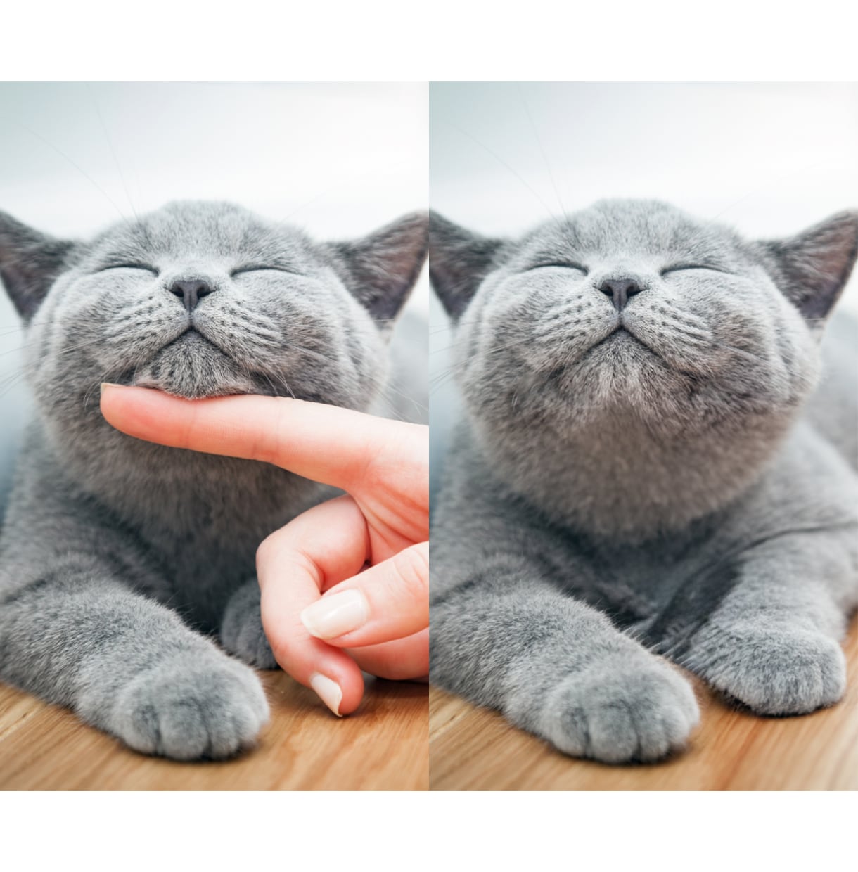 即日納品対応！高品質な画像加工を提供いたします 写真修正/編集/作成/使い方/修正/写真加工/人物 イメージ2