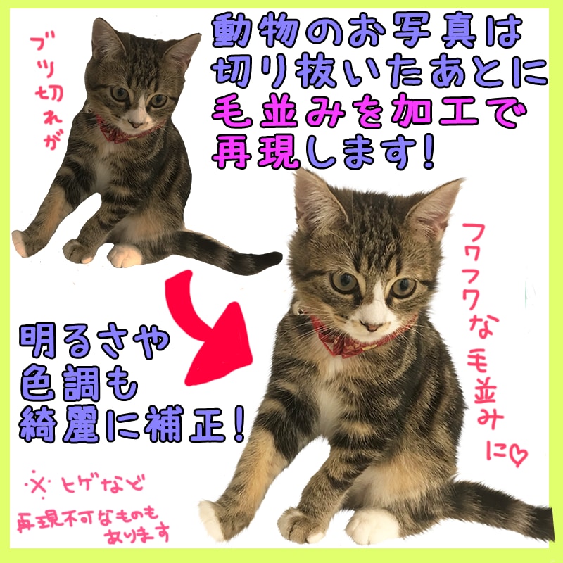 ２４個の手描きLINEスタンプをオーダー作成します お気に入りのお写真で、ラインスタンプをお作りします！ イメージ4
