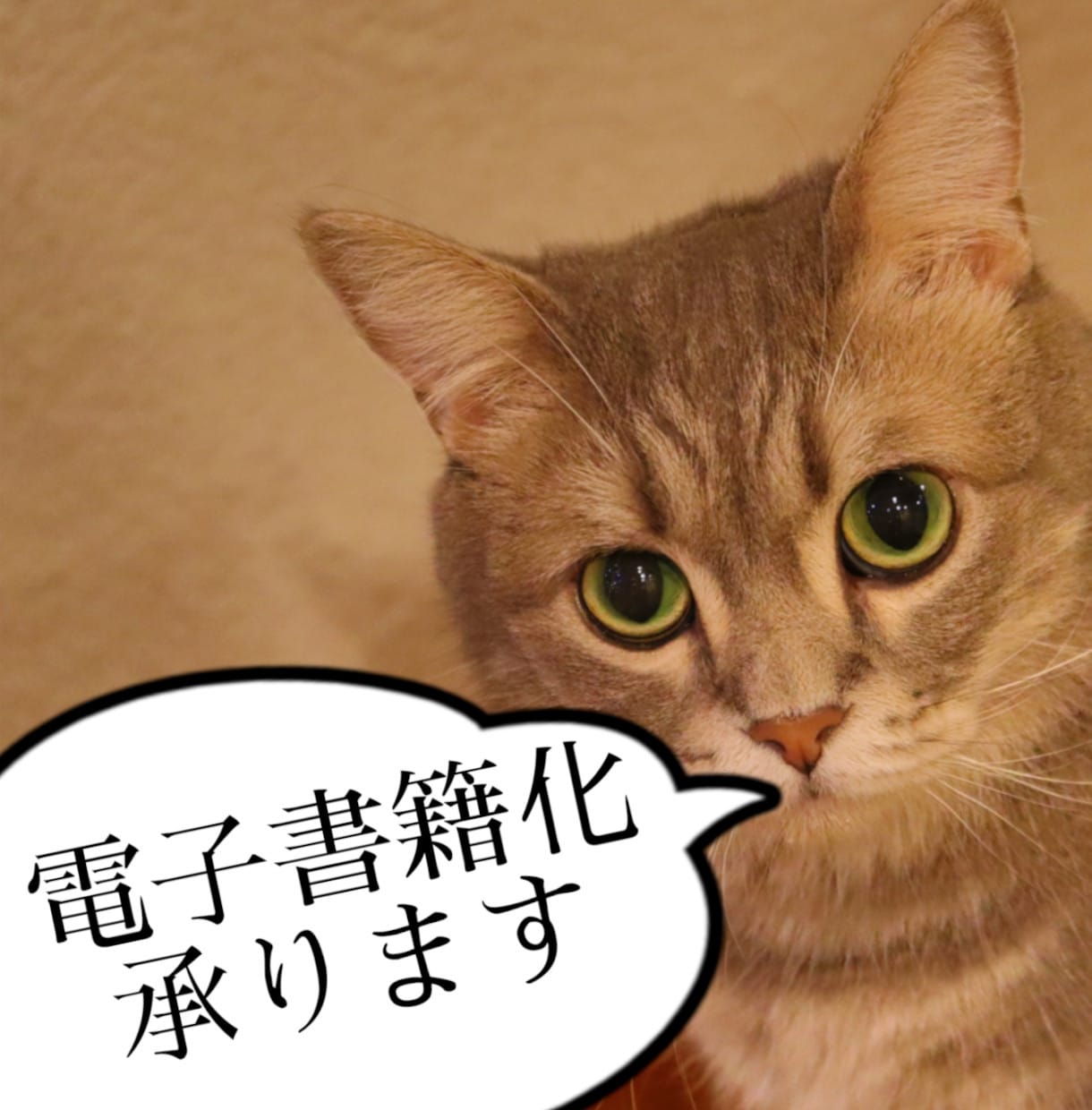 電子書籍の制作代行いたします ご依頼者様の原稿データをepub電子書籍化いたします イメージ1