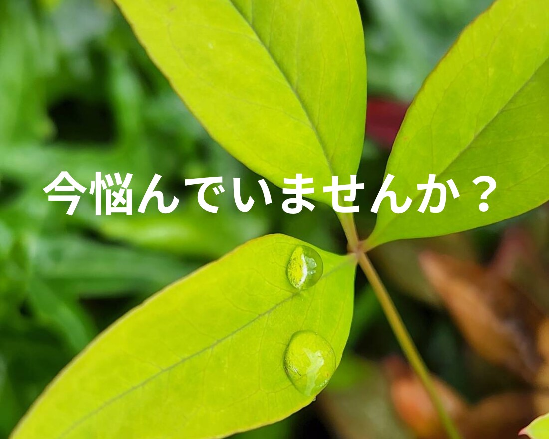 今話しましょ☆頑張ってるあなたの気持ちお聞きします 介護士が全力応援☆心の声に傾聴☘️愚痴☘️雑談☘️仕事☘️ イメージ2