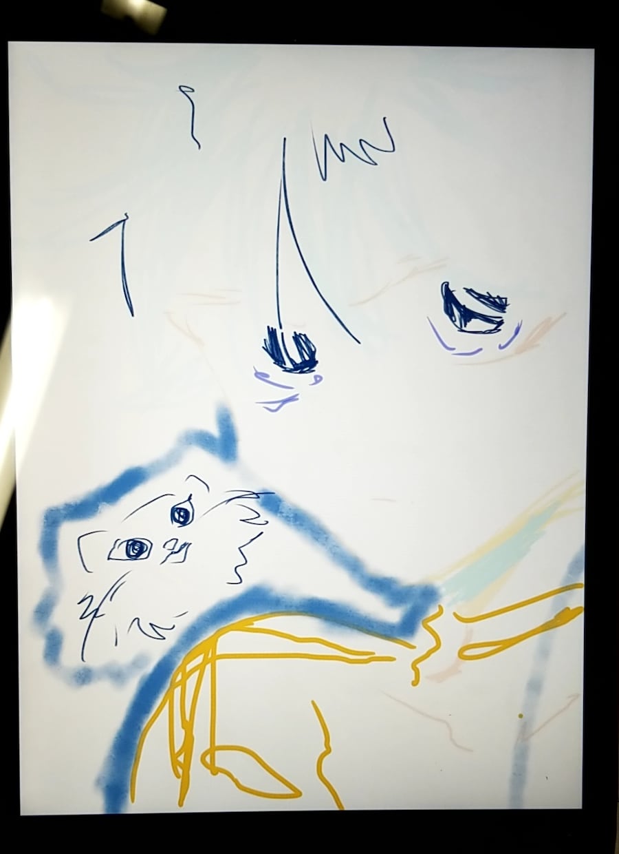 すごい(かわいい)イラスト、色々描きます 描いて欲しいキャラ(オリジナル・版権)を希望で描きます！ イメージ1