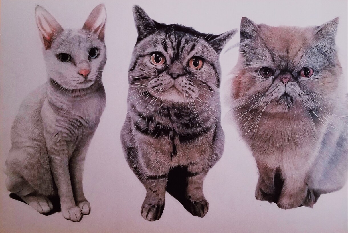色鉛筆で、リアルなペットの絵をお描きします 大切なペットを絵にして、ご自宅にプレゼントにいかがですか? イメージ5