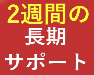 売上の上がらないサイトを2週間コンサルいたします 月7桁収入の実績を基にアドバイスするから納得！ イメージ1