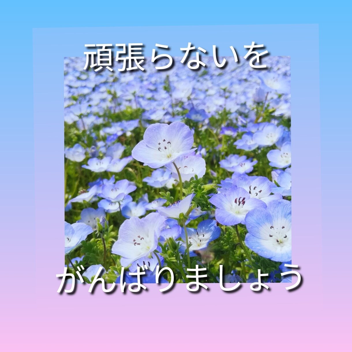 あなた、頑張り過ぎ屋さんになってます 頑張りのプロではなく、頑張り過ぎない自分になりましょうね。 イメージ4