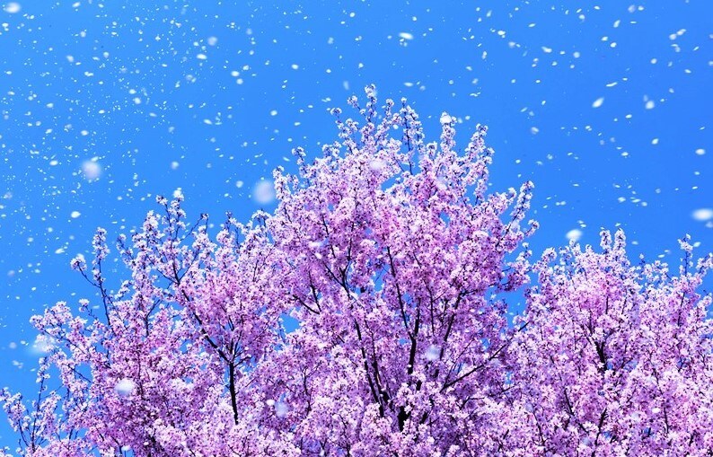 誰かと話をしないと眠れない　そんな時にお相手します 寂しい、悲しい、生きる意味がない、そんな想い受け止めますよ！ イメージ6