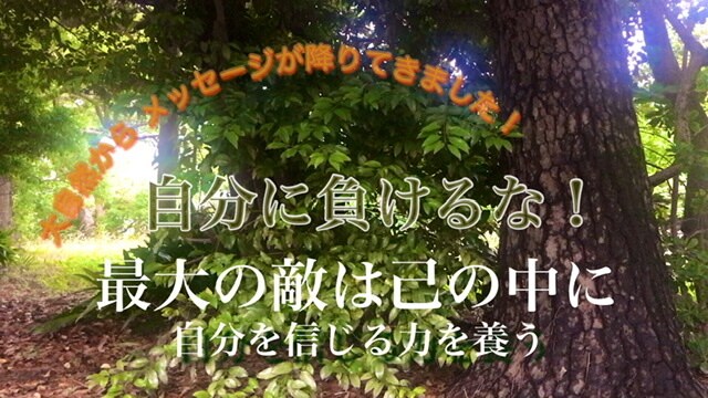 寂しい・辛い・愚痴・自慢・嬉しい全て聞きます あなたの心に明かりを灯し、光溢れる一日にさせて下さい！ イメージ2