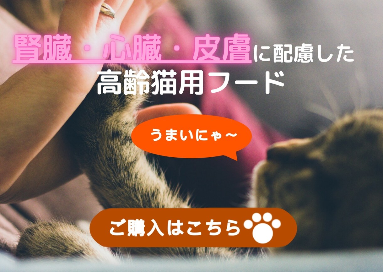 WEBサイト制作のプロがホームページ制作をします HTML ・CSSで高品質・低価格※修正無料 イメージ7