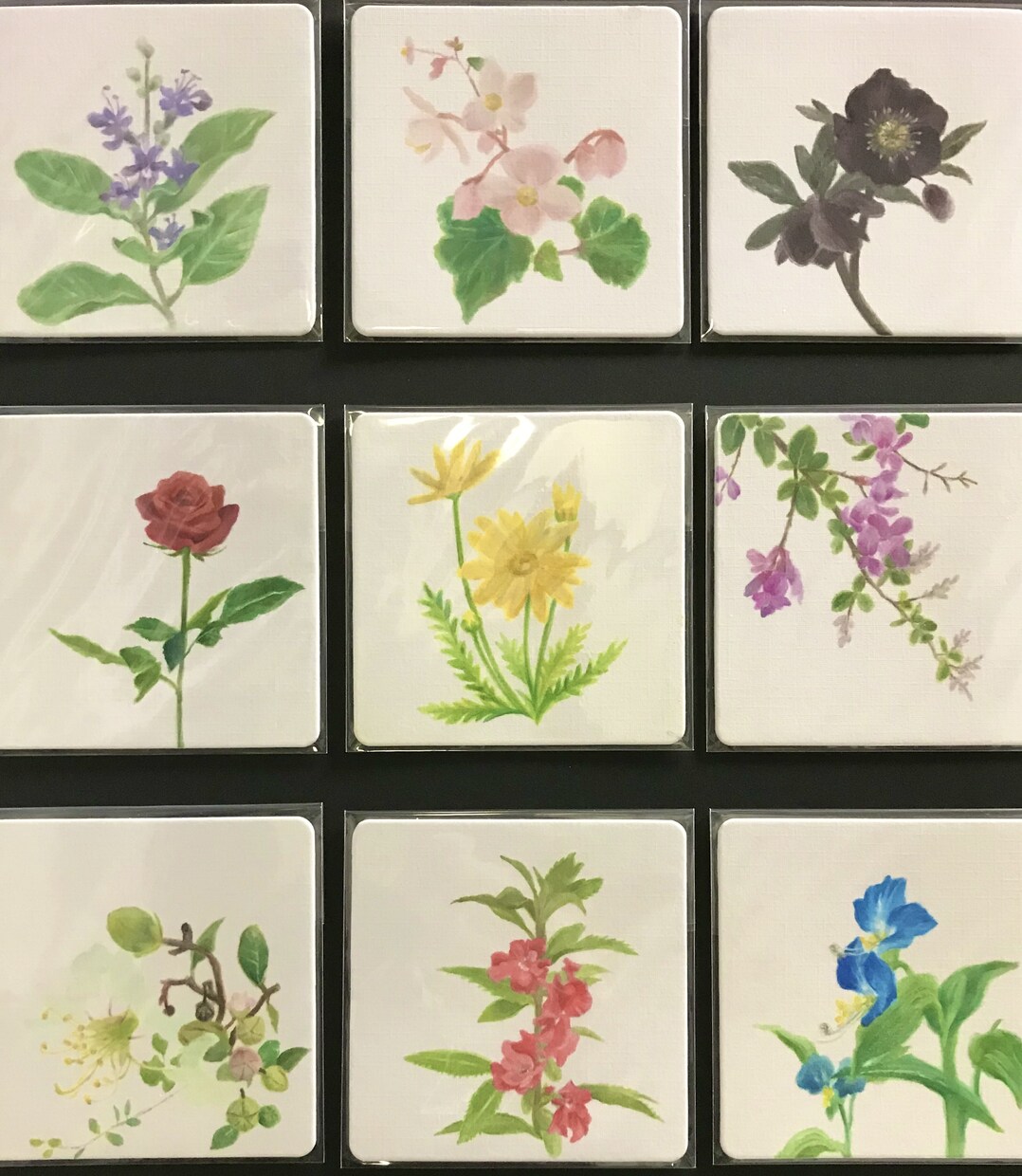 贈り物や記念日に、植物イラスト承ります ポストカードサイズ／正方形サイズの小作品 イメージ3