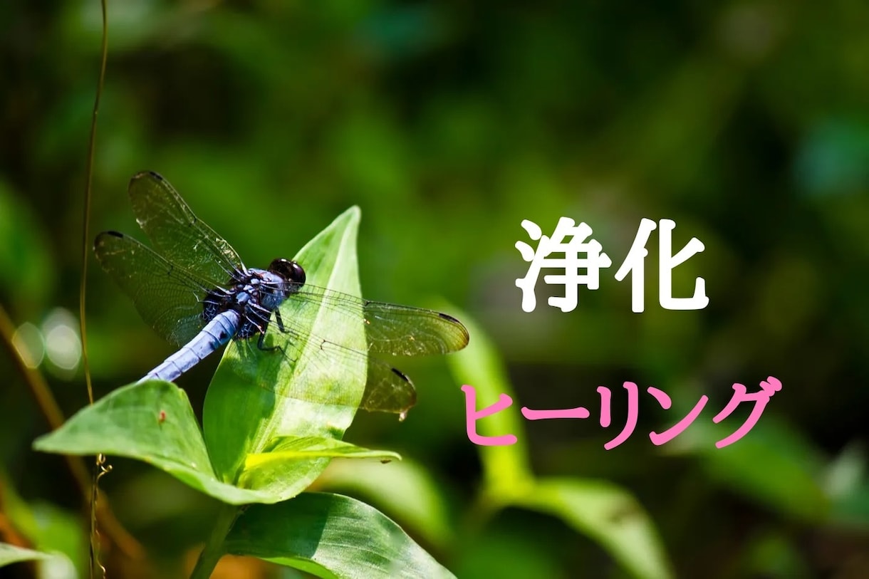 お得、霊視と独自の総合鑑定、質問三つまでできます 口コミで評判13年以上2600人以上を鑑定ズバリ当てます。 イメージ5
