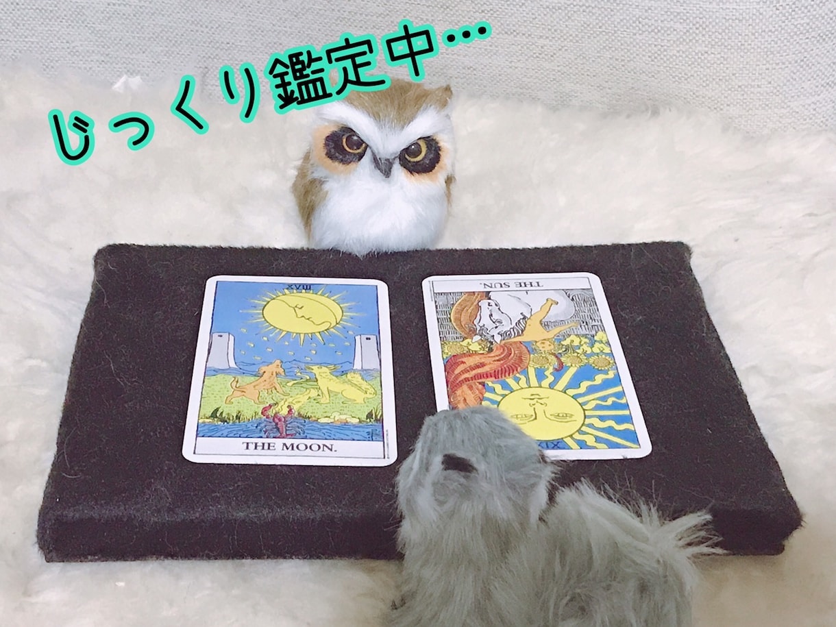 24時間以内鑑定。気持ちに寄り添い鑑定致します 〜恋愛状況判断〜〜お仕事アドバイス〜 イメージ6