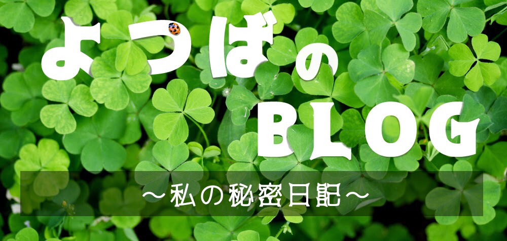 ブログのヘッダー画像をデザイナーが作成します アメブロやFacebookやtwitterなどのヘッダー作成 イメージ1