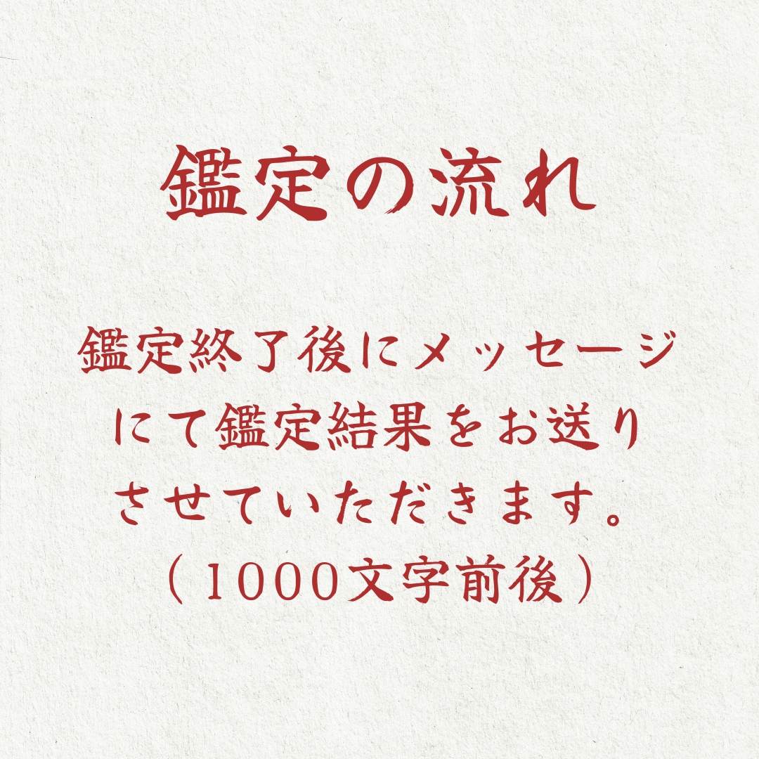 現役霊能者が守護霊様とお話して総合的に占います 悩みをスッキリさせ、理想の未来へと進む道を提示します イメージ4