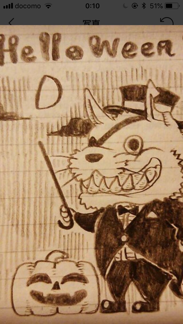 あなたの求めてるイラスト、漫画風に描きます 似顔絵、ペットの絵、好きなモノの絵、できるだけお答えします！ イメージ4