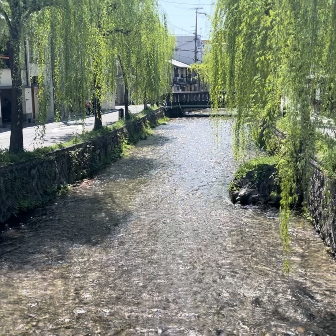 癒し系セラピストが優しくお迎えします お試しOK♪はんなり関西弁で、親身に寄り添います イメージ3