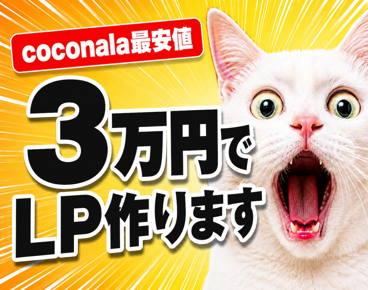 9月限定価格 3万円でLP制作します 最短3日・追加費用ゼロ。まずはLPを試してみたい方へ。 イメージ1