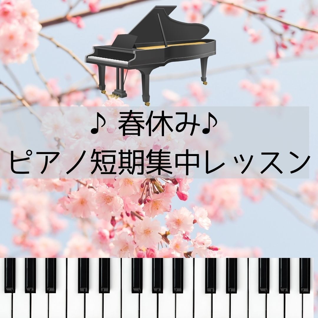 クラシック音楽関係者向け♪SNS用画像作成します ピアノの先生がCanvaを使ってすてきな画像を作ります！ イメージ2