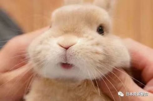 中国語⇆日本語翻訳致します 自然で生き生きといた文に翻訳！ イメージ1